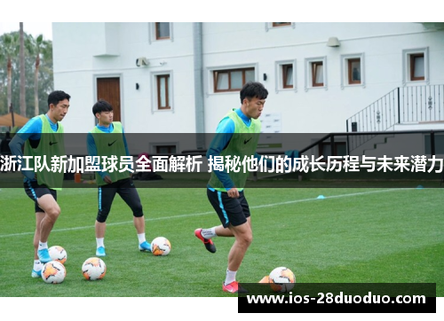 浙江队新加盟球员全面解析 揭秘他们的成长历程与未来潜力