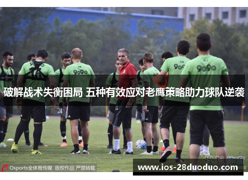 破解战术失衡困局 五种有效应对老鹰策略助力球队逆袭