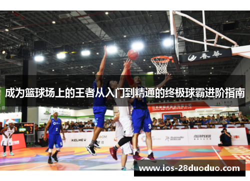 成为篮球场上的王者从入门到精通的终极球霸进阶指南