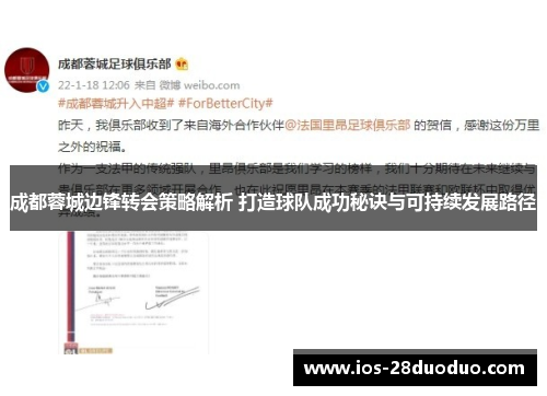 成都蓉城边锋转会策略解析 打造球队成功秘诀与可持续发展路径