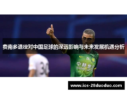 费南多退役对中国足球的深远影响与未来发展机遇分析