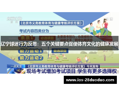 辽宁球迷行为反思：五个关键要点促使体育文化的健康发展
