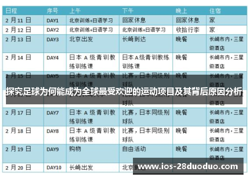 探究足球为何能成为全球最受欢迎的运动项目及其背后原因分析