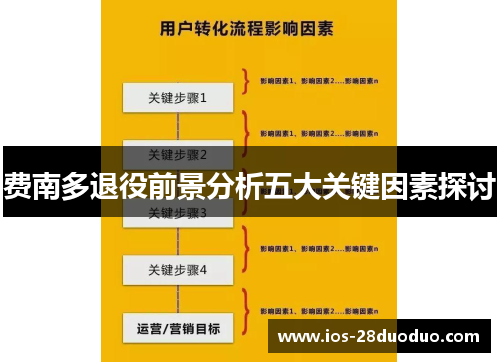 费南多退役前景分析五大关键因素探讨