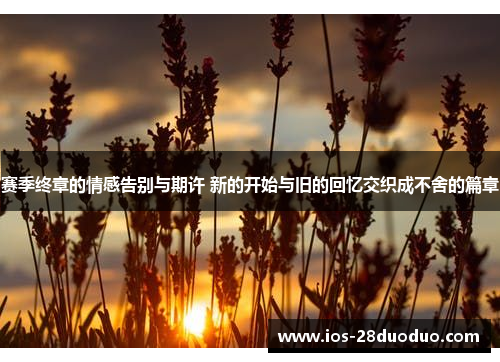 赛季终章的情感告别与期许 新的开始与旧的回忆交织成不舍的篇章