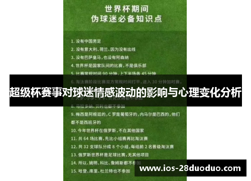 超级杯赛事对球迷情感波动的影响与心理变化分析